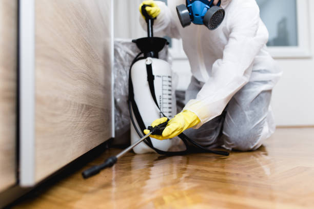 Best Wildlife Control Services  in West Carrollton, OH