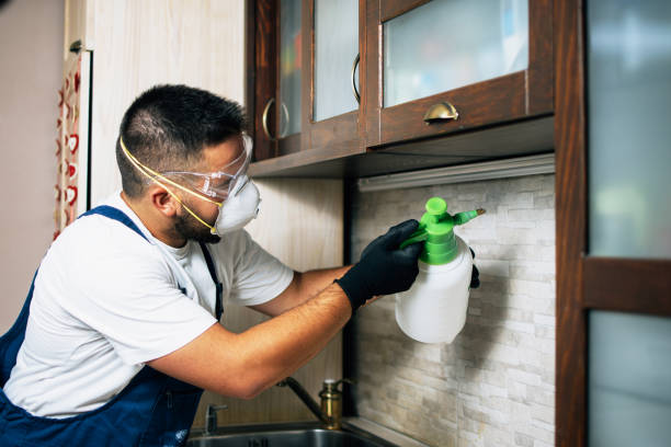 Pest Control Cost in West Carrollton, OH