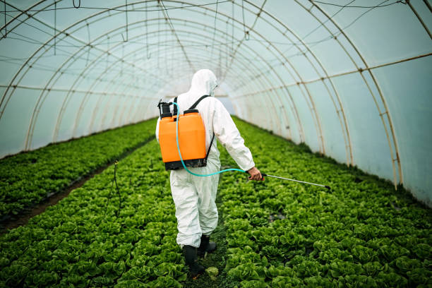 Best Mosquito Control Services  in West Carrollton, OH