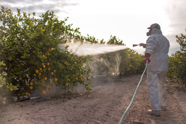 Best Best Pest Control Companies  in West Carrollton, OH