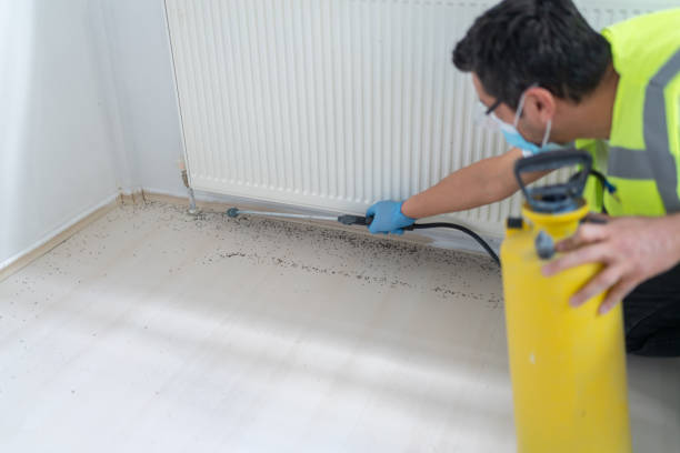Best Pest Control Cost  in West Carrollton, OH